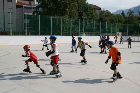 Roller 2007